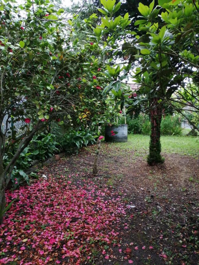 A Casa Dos Avos Villa Celanova Dış mekan fotoğraf