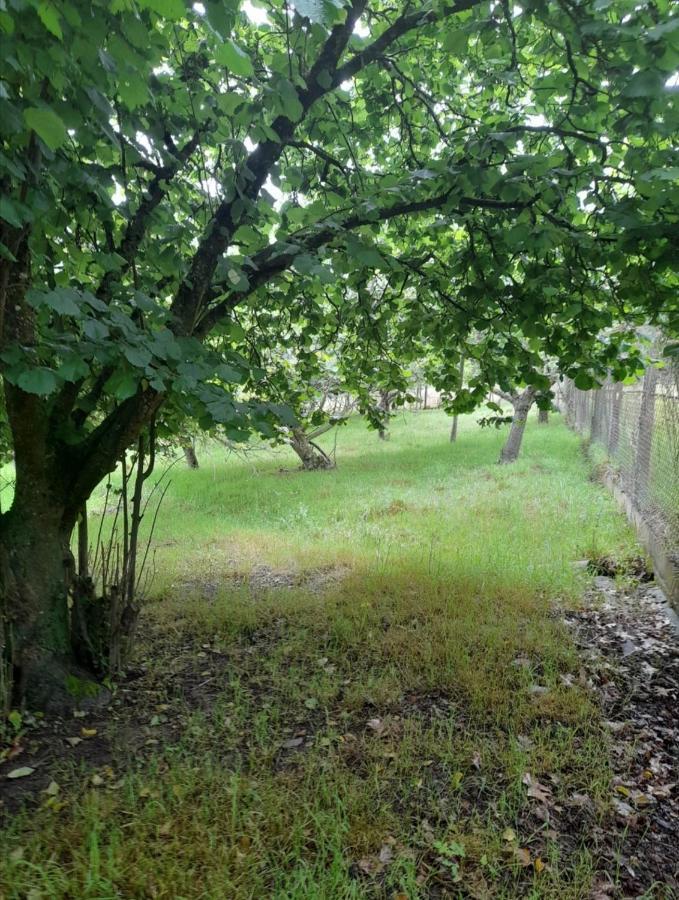 A Casa Dos Avos Villa Celanova Dış mekan fotoğraf