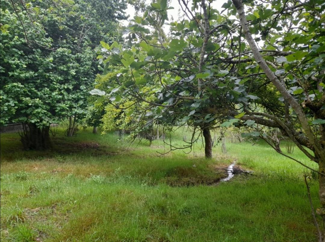 A Casa Dos Avos Villa Celanova Dış mekan fotoğraf